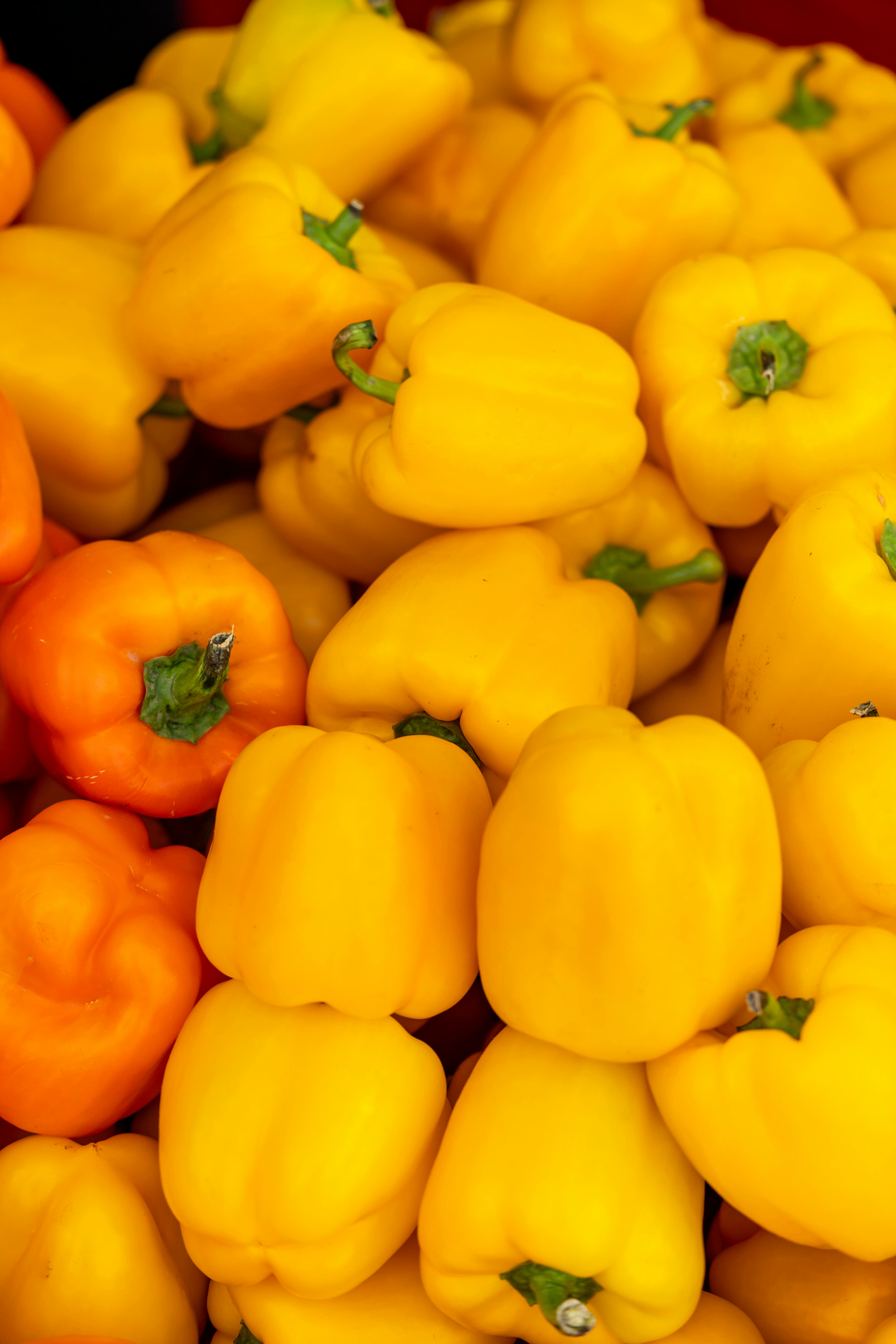 Yellow_Pepper